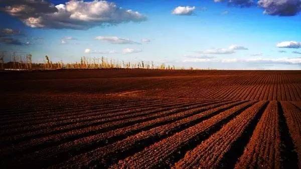 1608948595571807.jpeg b79ad886825b47dcbd9257d7d1c69fb3.jpeg